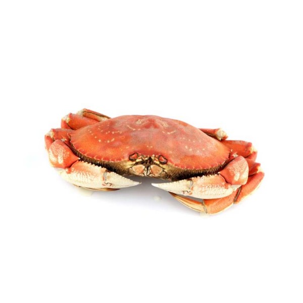 Frozen Dungeness Crab 1.5-2lb
