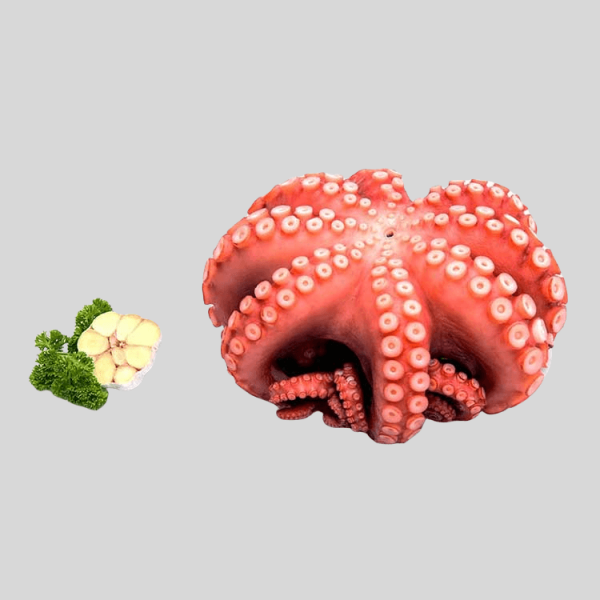 Matako Sushi Octopus 5CT