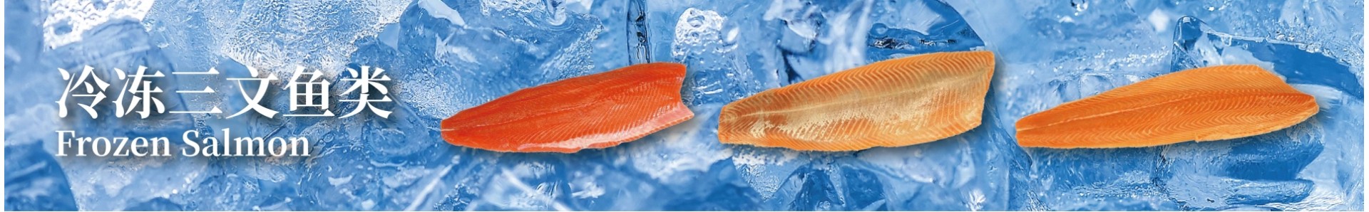 Fresh Salmon