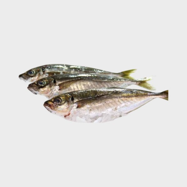 Aji Fish