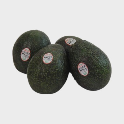 Avocado 
