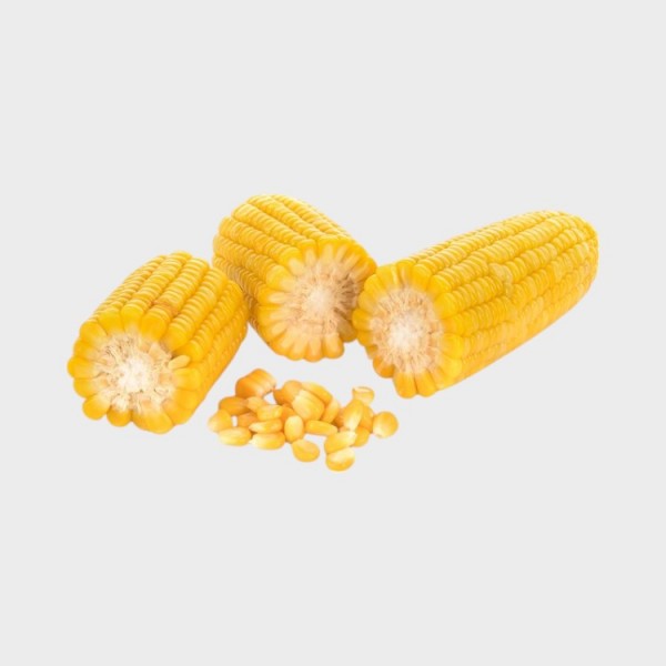 FZ Corn Cob
