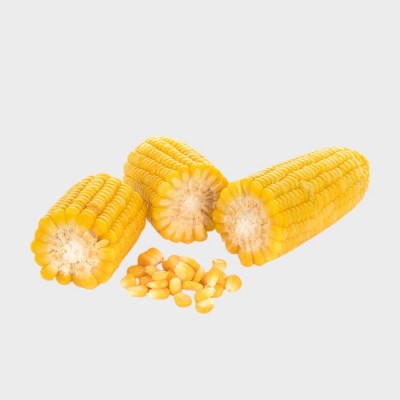 FZ Corn Cob