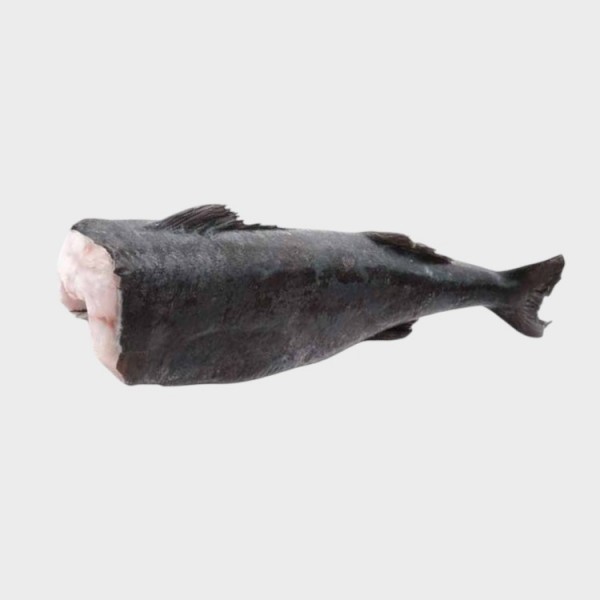 Black Cod 