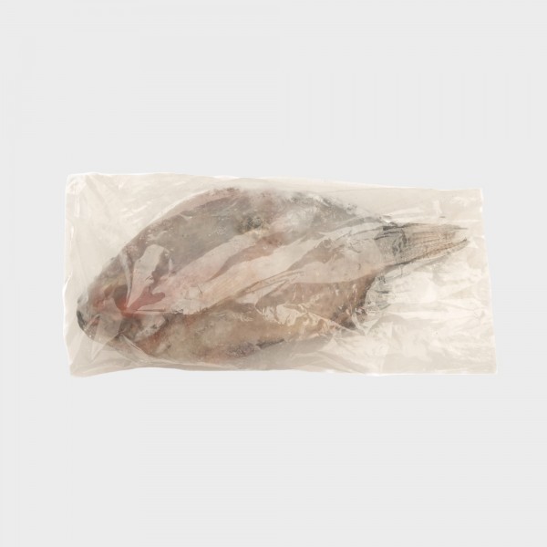 Tilapia 550-750
