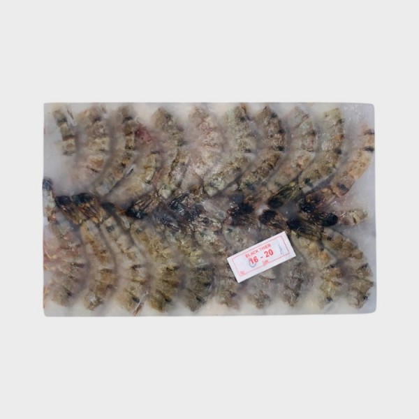 Black Tiger Shrimp 16/20 (HLSO)