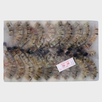 Blk Tiger Shrimp 16/20 (HLSO)