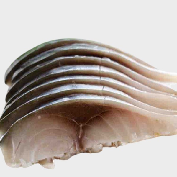 Shime Saba