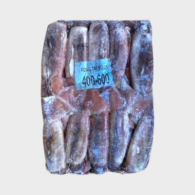 Jumbo Squid (400-600),41 1bs