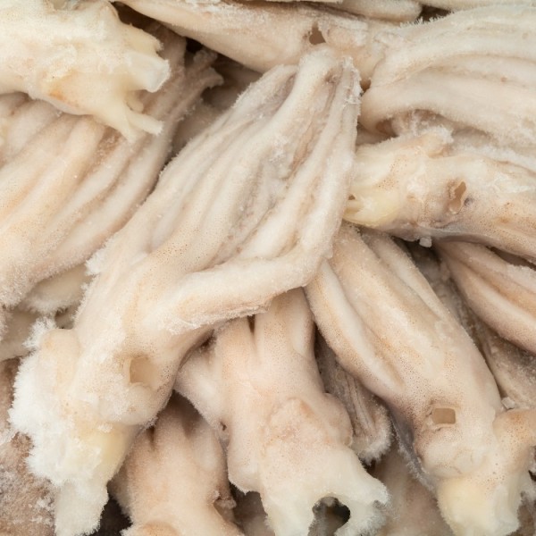 FrzSquidTentacles 5/8,NW80% 