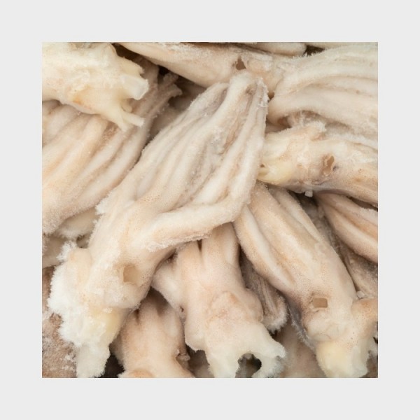 FrzSquidTentacles 5/8,NW80% 