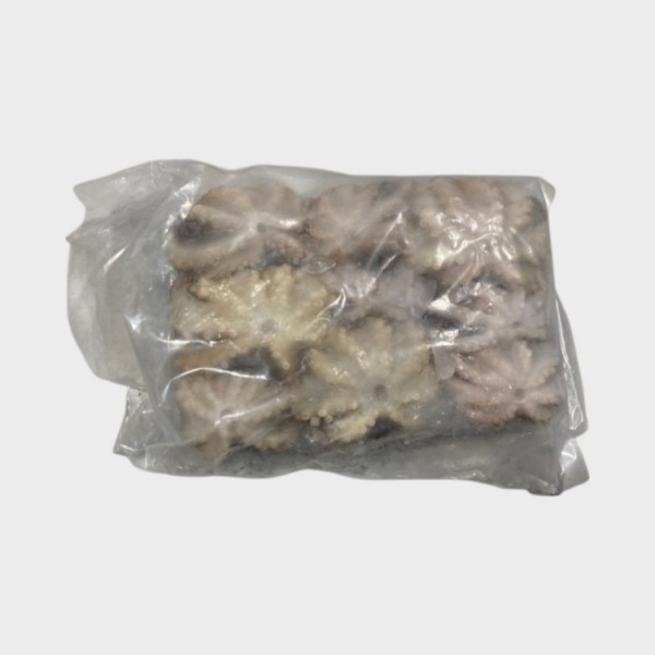 Baby Octopus 16-25 (whole), (70%NW)