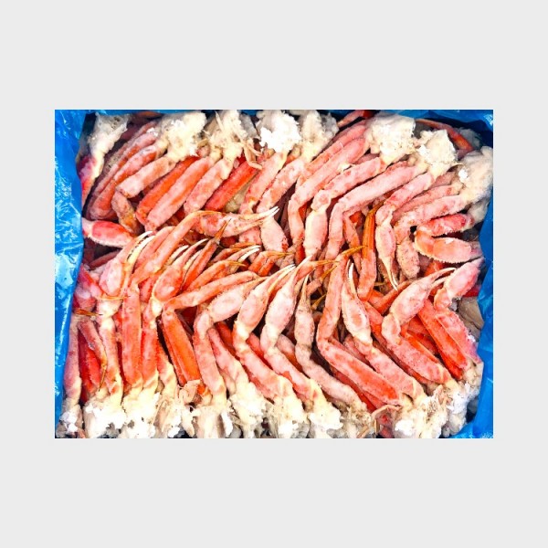 Snow Crab Leg 5/8