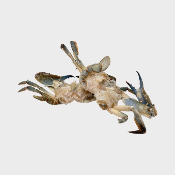 Cleaned Blue Crab (3-5,100%)