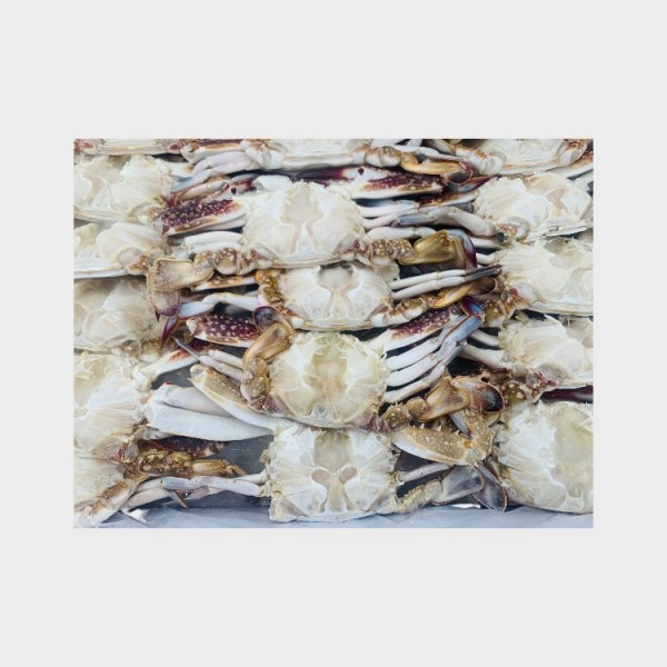 Frz Blue Crab Section (1-3,NW 65%)