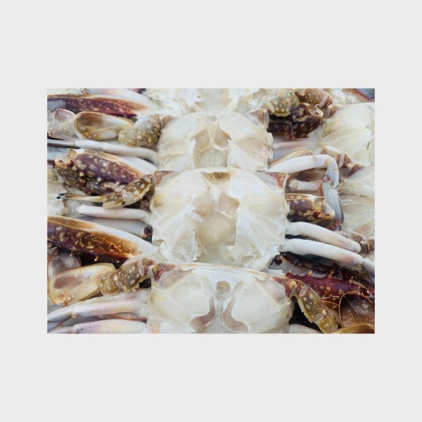 Frz Blue Crab Section (Jumbo 1-3,NW 65%)