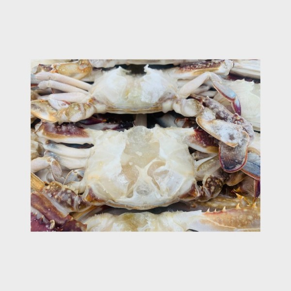 Frz Blue Crab Section(3-5,NW 65%)