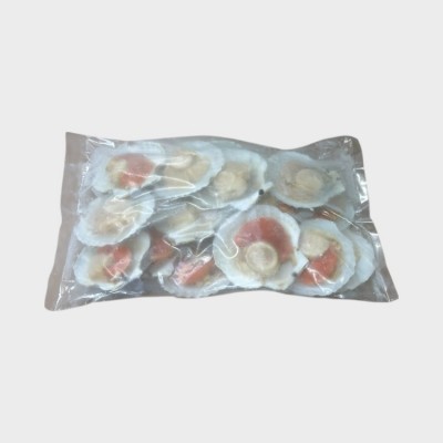 Frz Boiled Scallop w/Shell(8-9cm) 