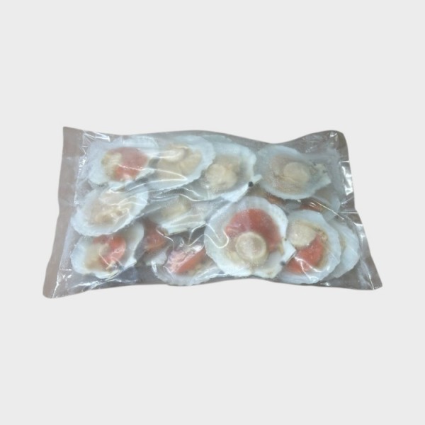 Frz Boiled Scallop w/Shell(8-9cm) 