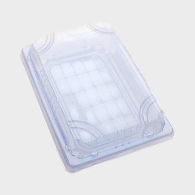 Sushi Cnt 05(Light Blue 1.0)