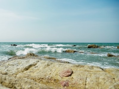 The Bounty of the Sea, the Homeland of Oysters.