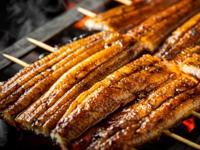 From the Smoky Aroma of Charcoal to the Bite of Eel on Your Table.